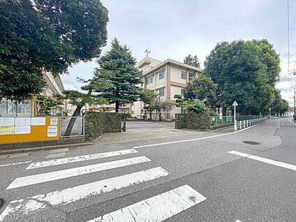 千葉市立作新小学校 950m (徒歩12分)