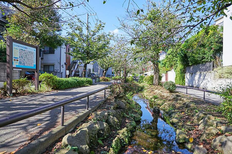 【北沢川緑道(約390～430m 徒歩5～6分)】
上流の赤堤から下流の池尻までの延長約4.3kmにもわたる遊歩道です。桜など、四季折々の花が咲き、お散歩などもお楽しみいただけます。