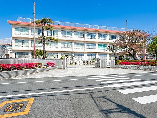 平塚市立春日野中学校（約850m・徒歩11分）