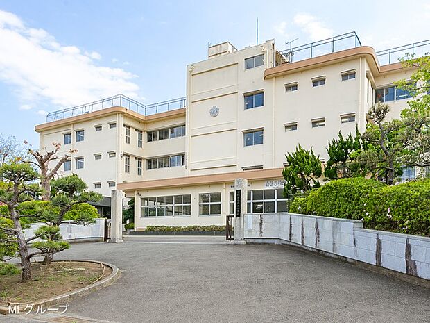 平塚市立花水小学校（約350m・徒歩5分）