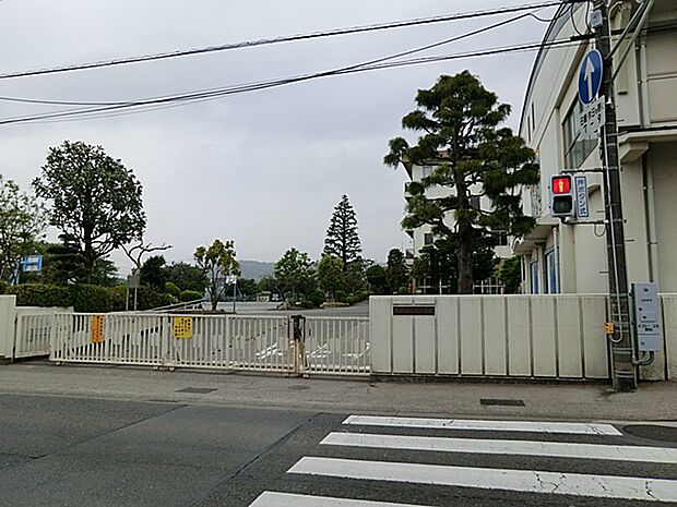 秦野市立西小学校(約300m・徒歩4分)