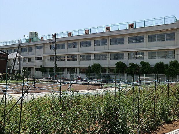 府中市立府中第八小学校（約200m・徒歩3分）