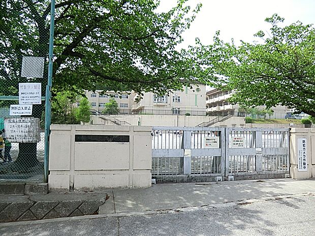 町田市立三輪小学校（約600m・徒歩8分）