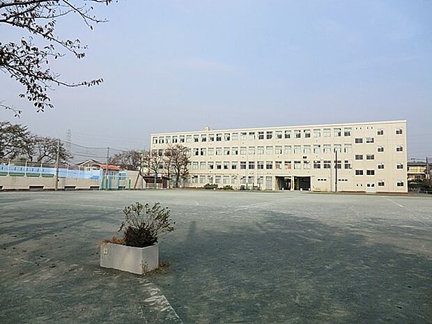 横浜市立葛野小学校(約450m・徒歩6分)