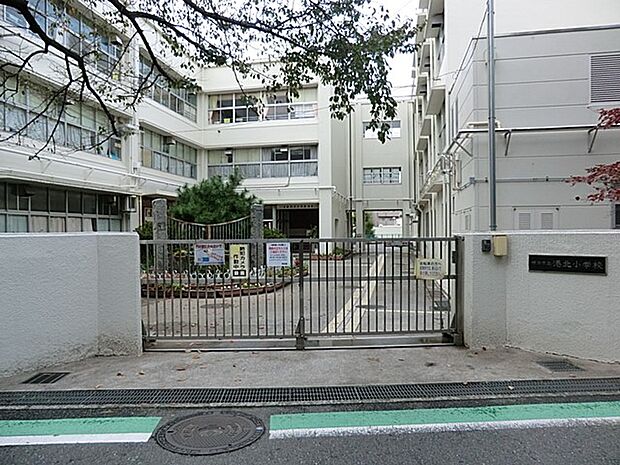 横浜市立港北小学校(約650m・徒歩9分)