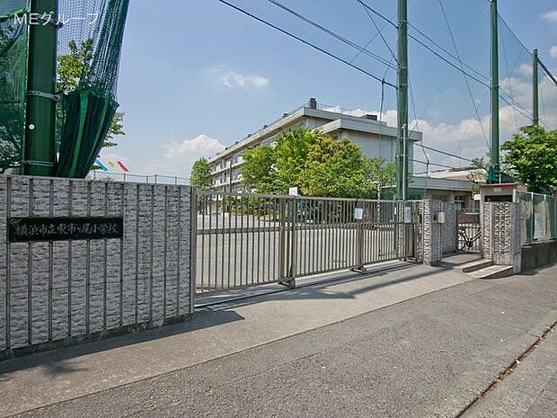 横浜市立東市ヶ尾小学校(約620m・徒歩8分)