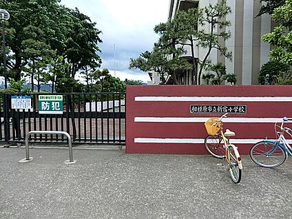 相模原市立新宿小学校 800m(10分)