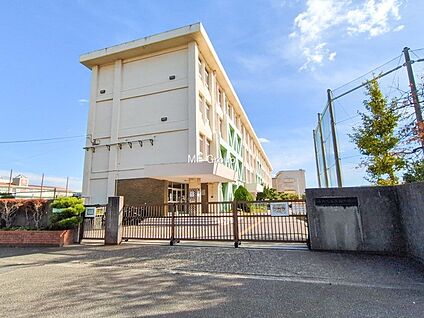 藤沢市立高浜中学校 480m(6分)