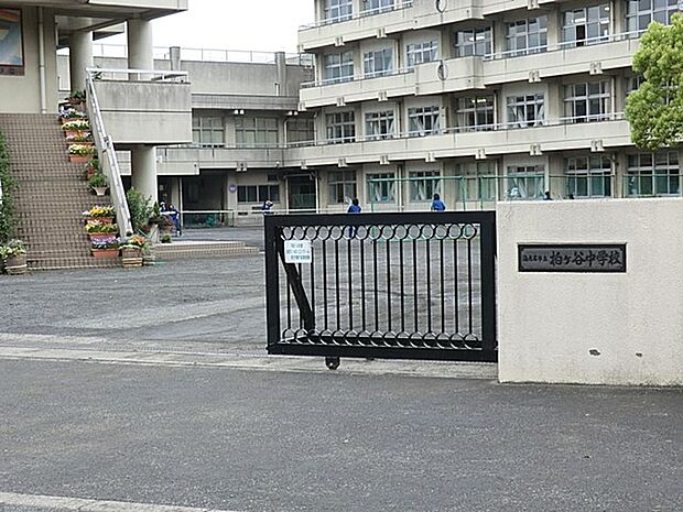 海老名市立柏ケ谷中学校（約600m・徒歩8分）