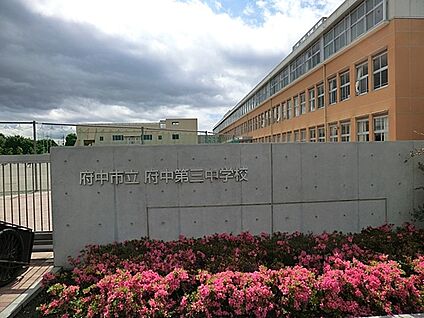 府中市立府中第三中学校 1008m(13分)