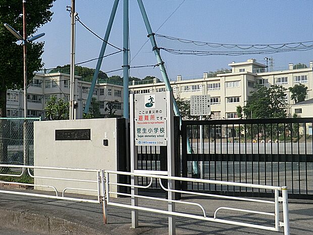 川崎市立菅生小学校(約260m・徒歩4分)