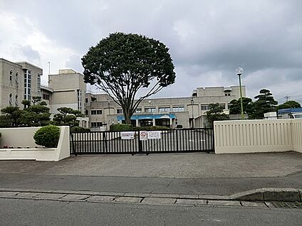 相模原市立上溝南中学校 230m(3分)