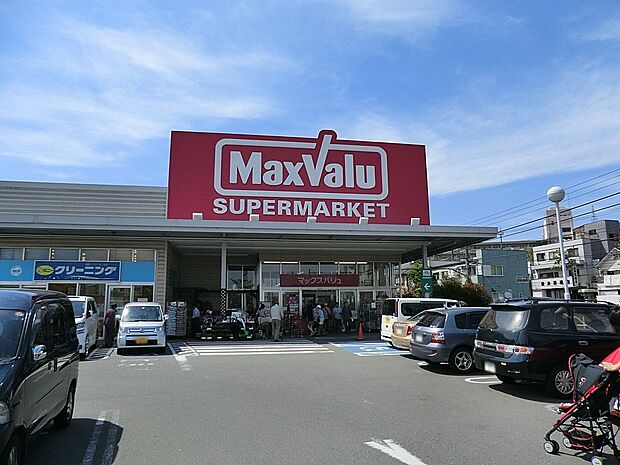 マックスバリュ津田山店(約1,100m・徒歩14分)