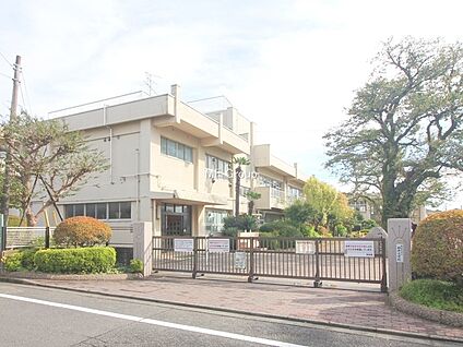 相模原市立相原小学校 230m(3分)