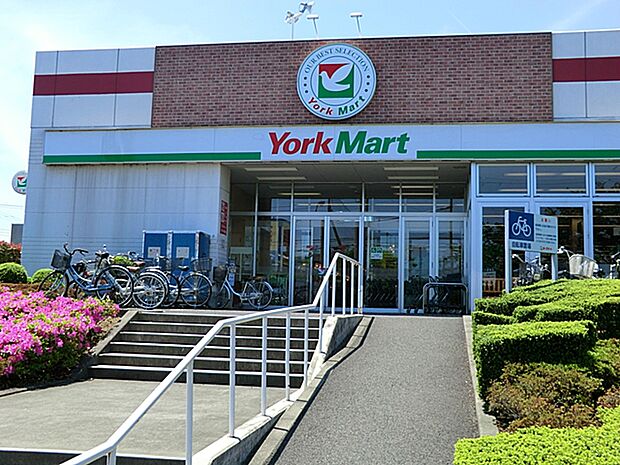ヨークマート伊勢原店(約1,000m・徒歩13分)