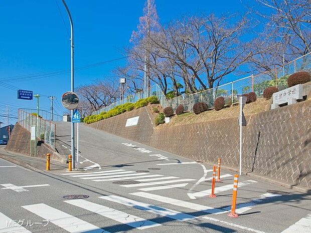 伊勢原市立成瀬中学校(約3,150m・徒歩40分)