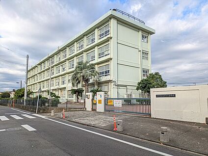 平塚市立なでしこ小学校 300m(4分)