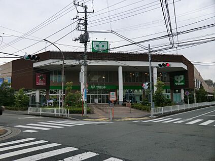 サミットストア横浜岡野店 1100m(14分)