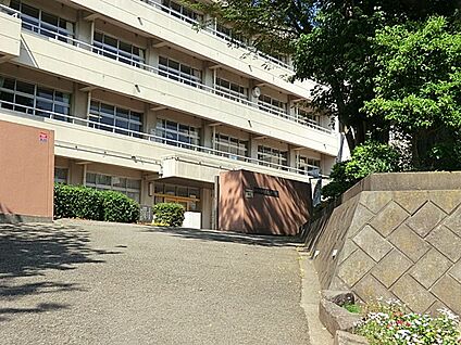 海老名市立大谷中学校 1040m(13分)