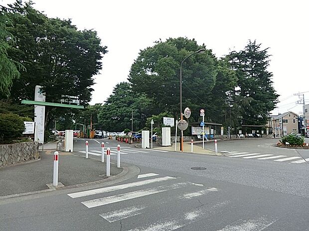 独立行政法人国立病院機構 相模原病院(約1,000m・徒歩13分)
