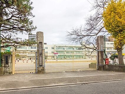 町田市立町田第一小学校 700m(9分)