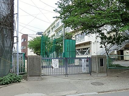 町田市立町田第一中学校 500m(7分)
