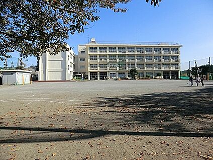 横浜市立篠原小学校 650m(9分)