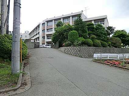 相模原市立相模丘中学校 521m(7分)