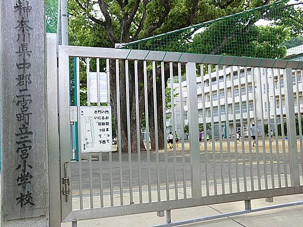 二宮町立二宮小学校(約1,300m・徒歩17分)