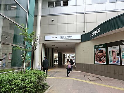 聖蹟桜ヶ丘駅 800m(10分)