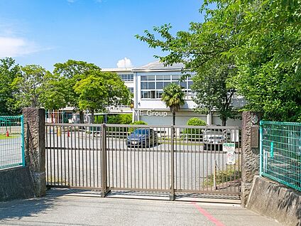 茅ヶ崎市立小出小学校 1500m(19分)