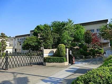 八王子市立中山中学校 200m(3分)