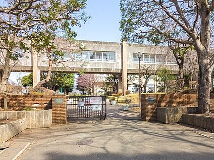 相模原市立上溝中学校 1300m(17分)