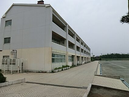 藤沢市立湘洋中学校 2000m(25分)