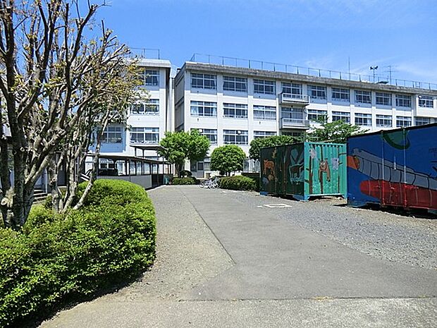 八王子市立元木小学校(約850m・徒歩11分)