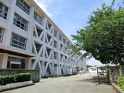 藤沢市立村岡小学校 950m(12分)