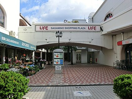 相鉄ライフさがみ野店 800m(10分)