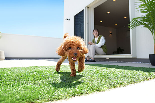 建物プラン例(SL)
総額(土地+建物+外構)4490万円