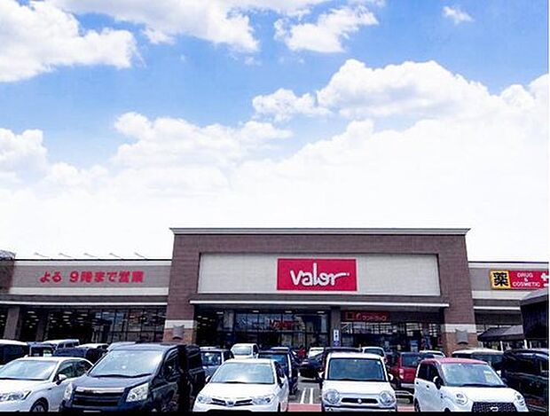 バロー安城日の出店(約2,500m)