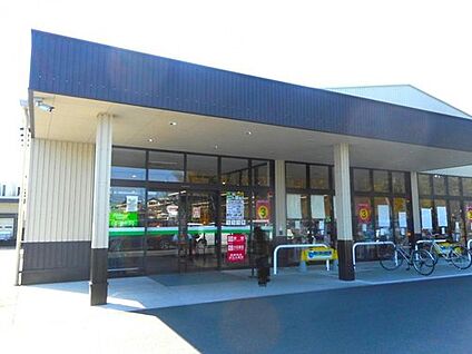 フェルナ安城和泉店 1500m( 自転車6分)