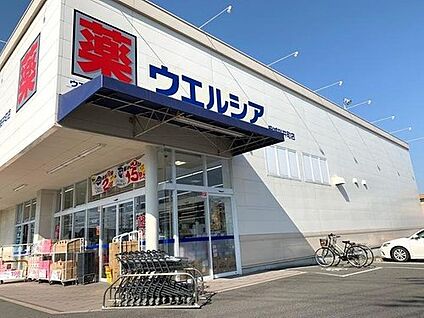 ウエルシア安城桜井町店 1000m(徒歩13分)