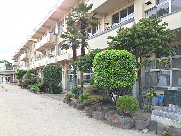 上川淵小学校