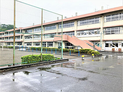 桜木小学校 950m