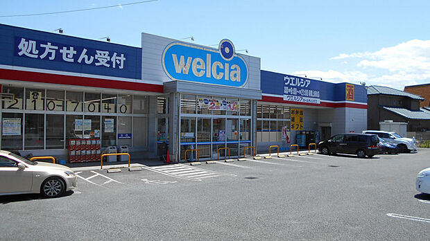 ウエルシア前橋上新田店(約590m)