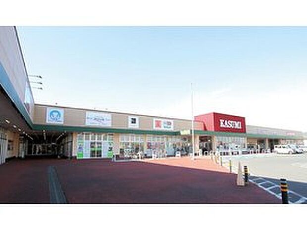 ショッピングセンター PIA CITY(約1,500m)