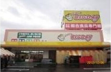 エブリィビッグデー三島南店 1320m(徒歩17分)
