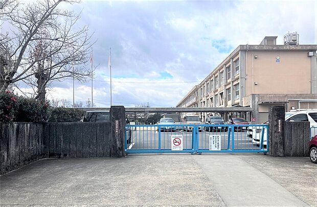 山中小学校(約153m)