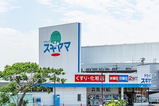 ドラッグスギヤマ永覚店(約740m)