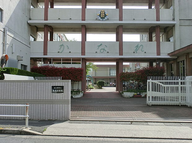 名古屋市立香流小学校(約320m)