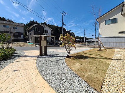 4号地